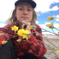 Maggie McLean