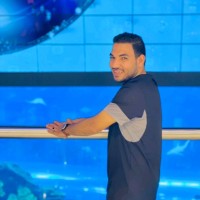 Ahmed Araby