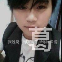 葛元元
