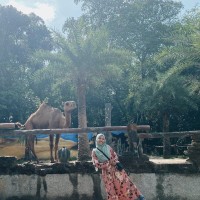 Nur Fasihah Jefree