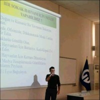 Cengizhan Misir