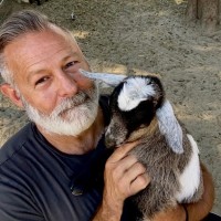 Steve Grossman