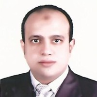 Yasser Elzayat