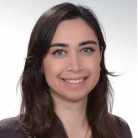 Irmak Sevi Guzel