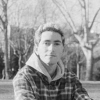 Daniel Sarid