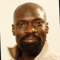 Olaniyi Opaleye