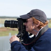Trish Vishnevetsky