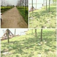 聂小虎