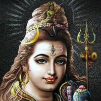 Vinay Srivastav