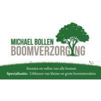 Michael Bollen
