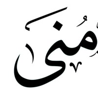 Mona Shajeri