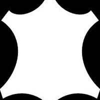 Syeda afreen naqvi S.A Naqvi