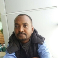 Awad Salih