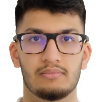 Hussain Hameed