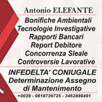 salvatore elefante