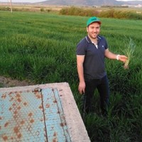 Salih Namlı