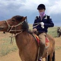 王伟华