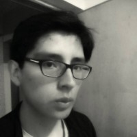 Cristian Artica