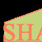 The Shannon Group LLC
