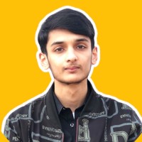 Syed Muhammad Hussnain Ali