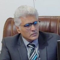 Airis Mirza