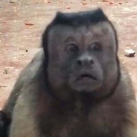 韦永信