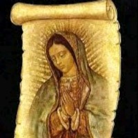 Isabel Cristina Palacio Agudelo