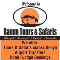 Bamm Tours