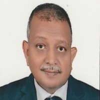 Hamdy Mohamed Alzoghby