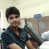 Aditya Yadav