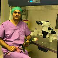 Mahmoud Heidari