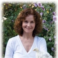 Ann Macy