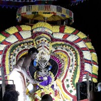 Ajay Ajay