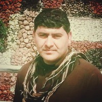 Yargul Safi
