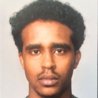Hanibal Zerezgi