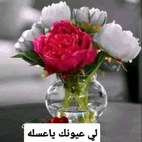 النمر الجبل