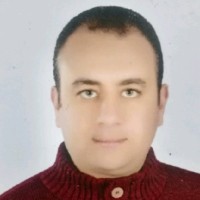 Amr Mohamed Abdulelatif