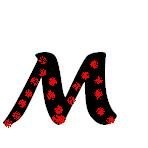 Munesh K