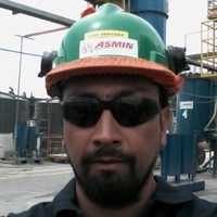 Luis Fernando Vergara Araya