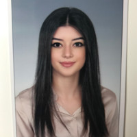 Elif Sönmez Coşkun Istqb®(Ctfl)