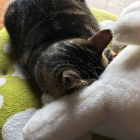 長谷川一輝