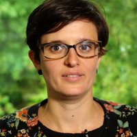 Perrine Collin