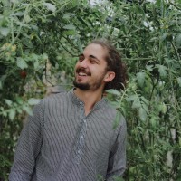 Cengher Alin Mihai