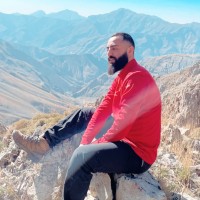 Parsa Mirzaei