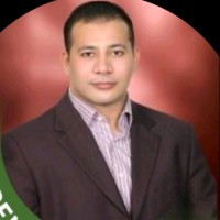 Amro Elmeligy
