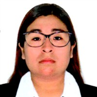 Diana Ochoa Quispe