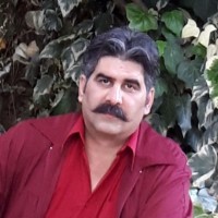 Mohammad Reza Emami zadeh