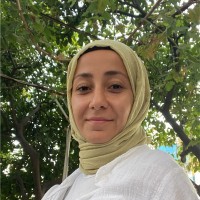 Ayşegül İlhan