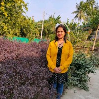 DIBYA RAY