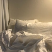 김회연